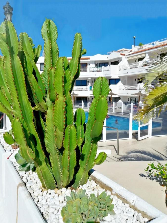 Aguamarina Apartment - Los Diamantes 2 Los Cristianos  Exterior foto