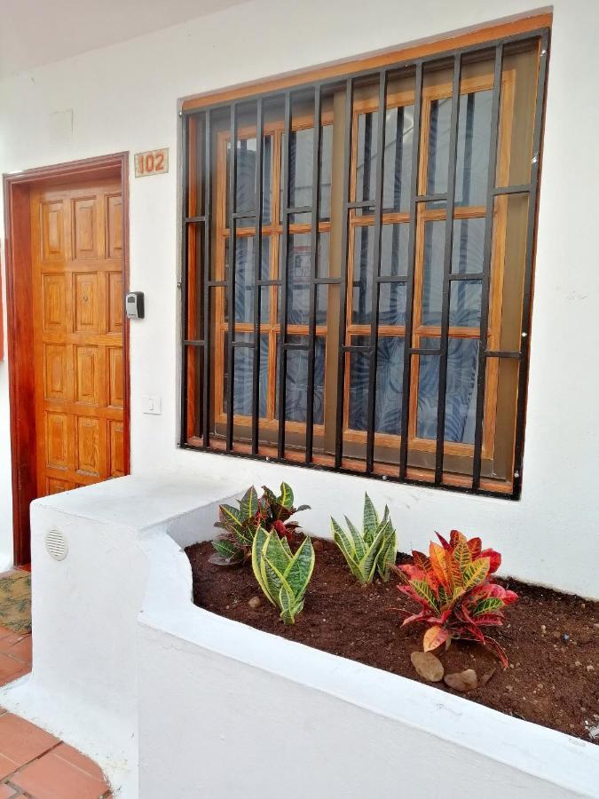Aguamarina Apartment - Los Diamantes 2 Los Cristianos  Exterior foto